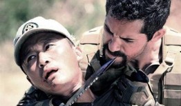 电影长城在线观看八哥,揭秘神秘守卫者的传奇故事